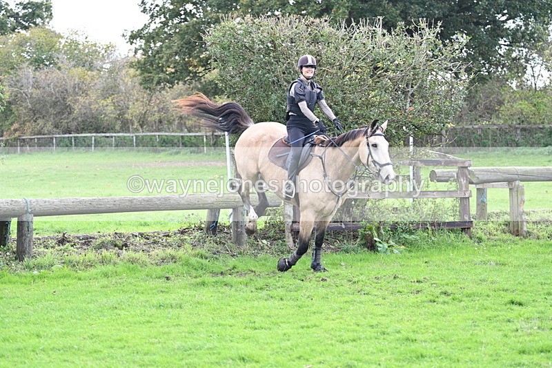 WJ7_0719 - Time 14:27 to 15:11