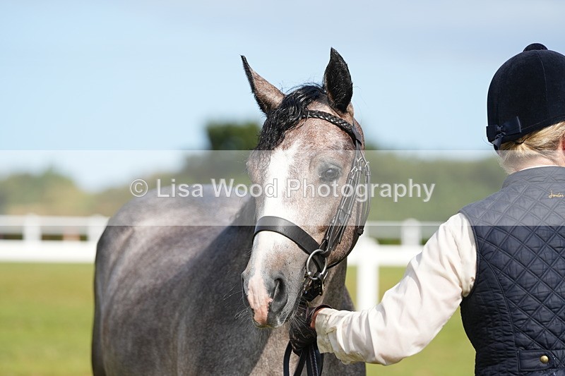 DSC04839 - Class 47: NPS M&M Yearling