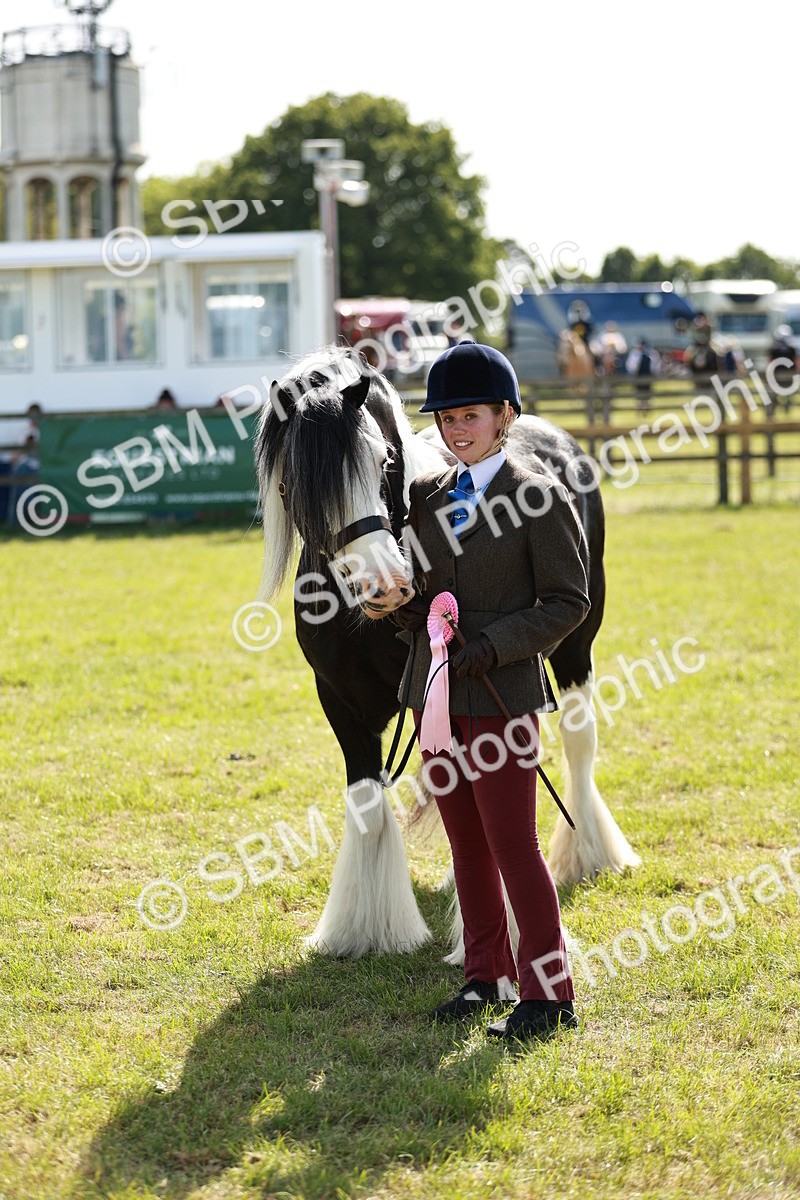 SBM_08934 - Class 63-65 - Traditional Gypsy Cobs In Hand & Ridden