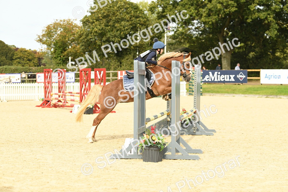 SBM_71033 - J15 - Junior Pony 70cm Championship