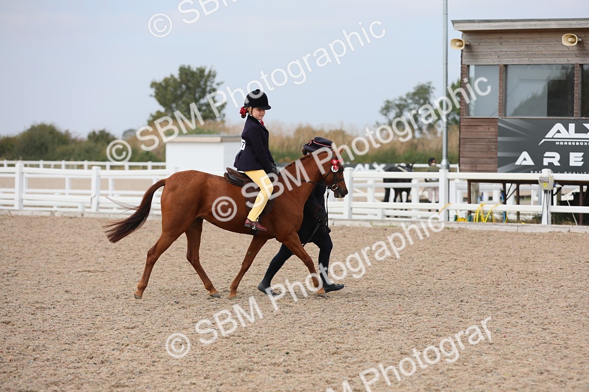 SBM_16899 - Class 314 Family Horse/Pony