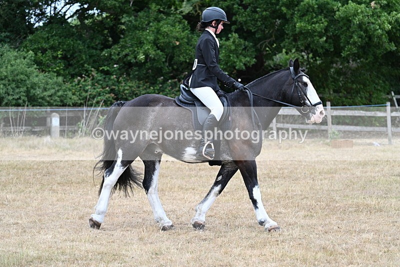 WJ7_7715 - Class 3 Family Mount