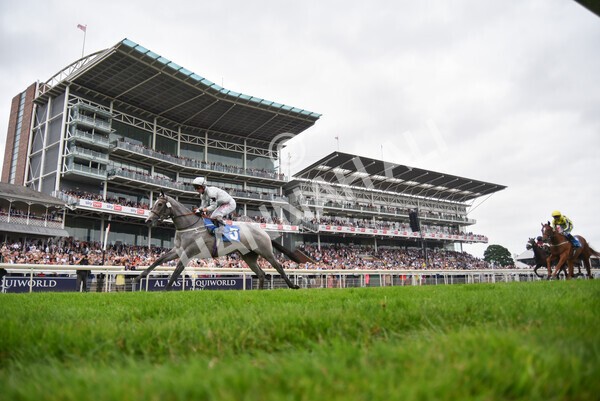 yr24072021r4-14 - Race 4 3.50pm Sky Bet Britain's Most Popular Online Bookmaker EBF Restricted Novice Stakes (Plus 10
