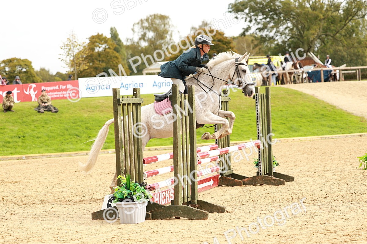 SBM_38401 - Supreme Championship 80cm 85cm