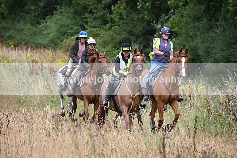 WJ6_2323 - Group 7