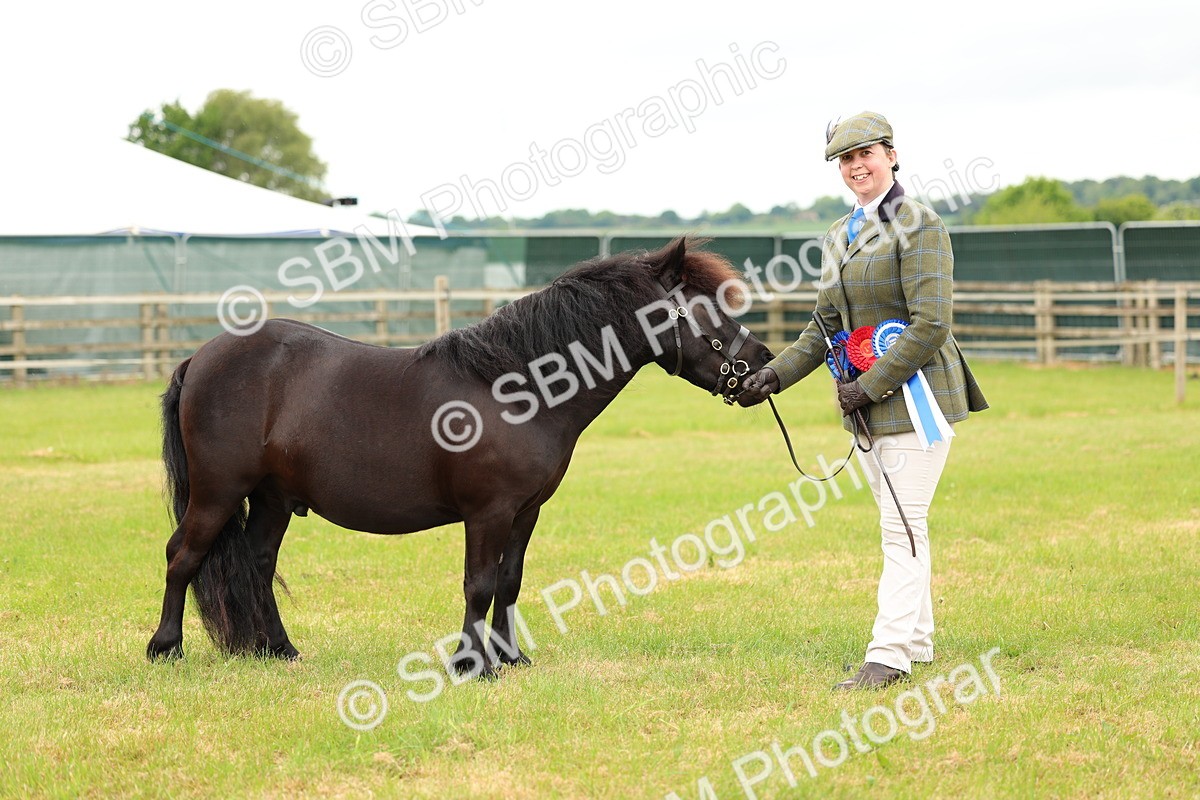 SBM_03530 - Class 58-67 - M&M Non Welsh Pony In hand