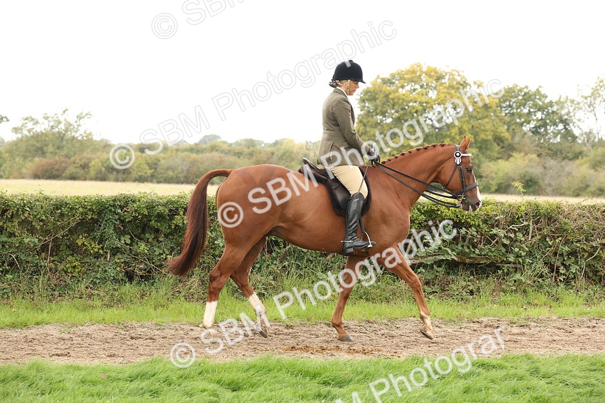 SBM_64150 - S65 - Riding Horse & Hack & Thoroughbred Ridden