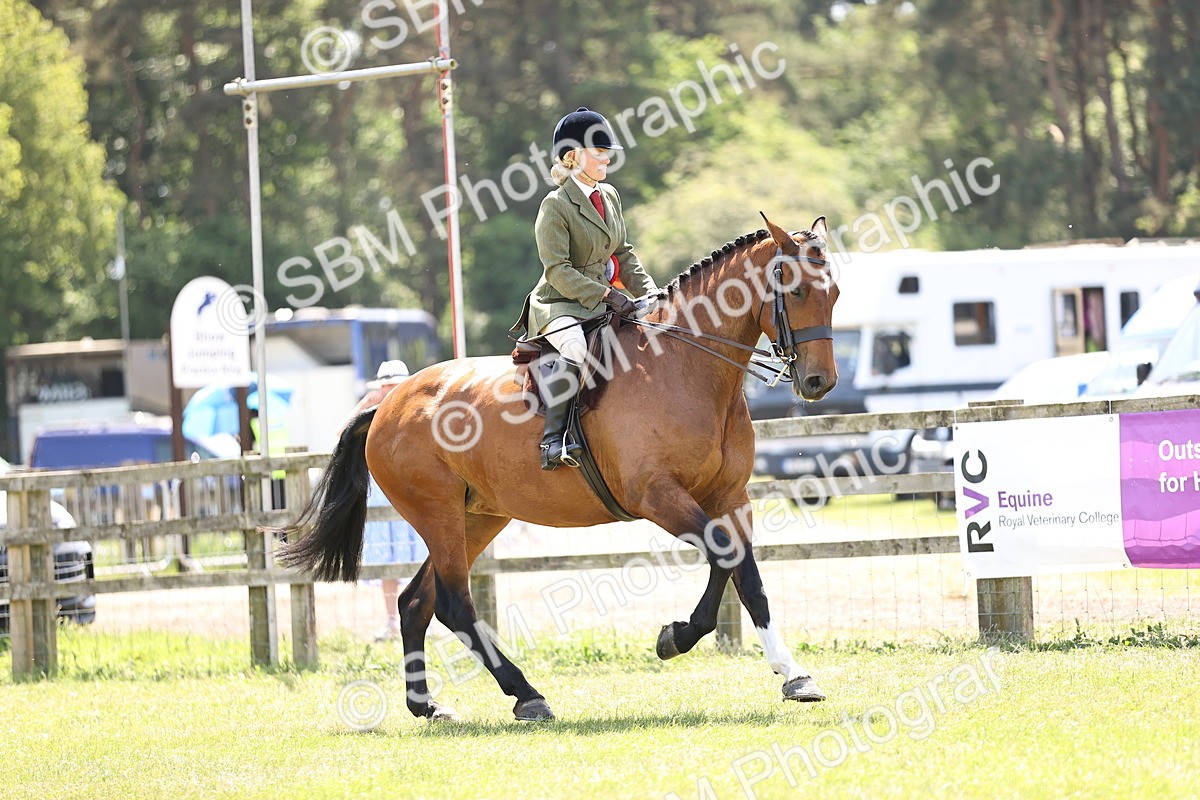 SBM_15245 - Class 79-80 - LIHS BSHA Rising Star Ridden Hunter