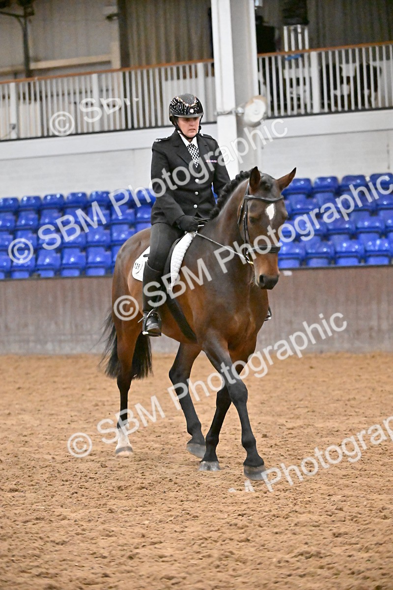 SBM_002963 - Class 37,38 - UKPSAF Performance Horse & Pony