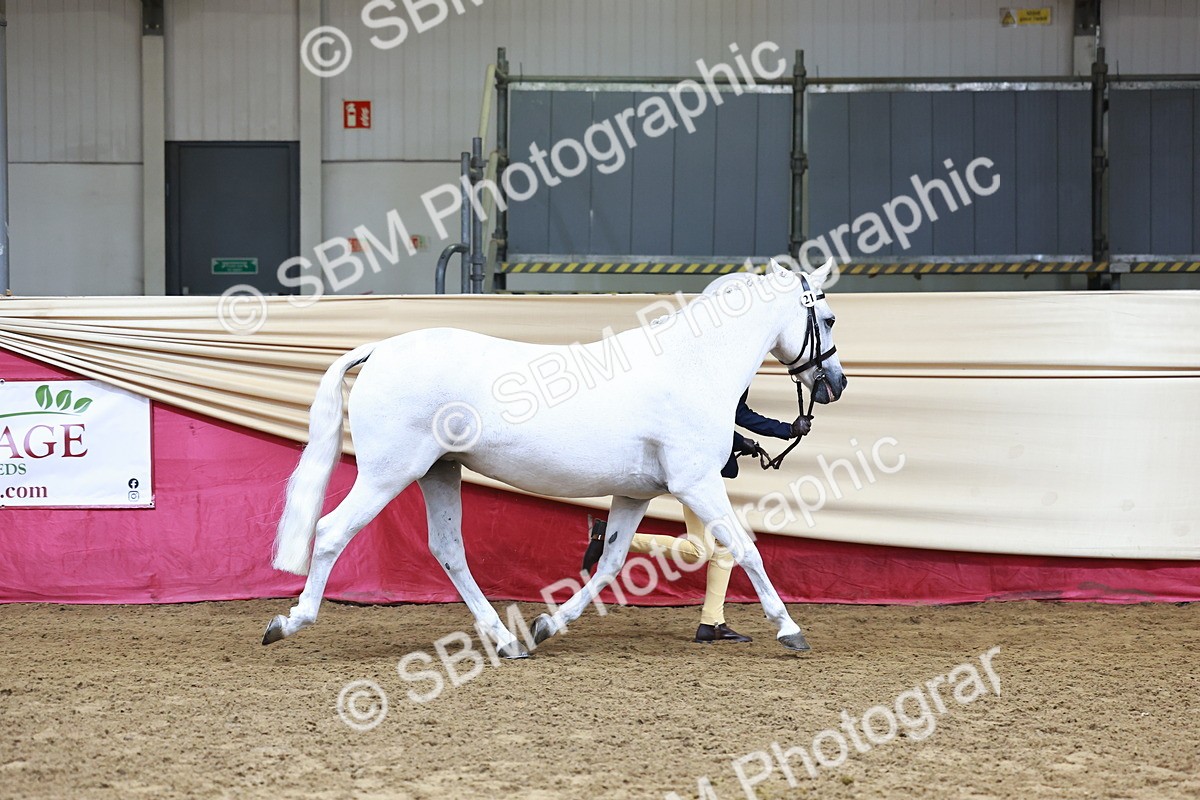 SBM_22264_Class 902 - Supreme Final - IH Veteran - Vicky Gutteridge