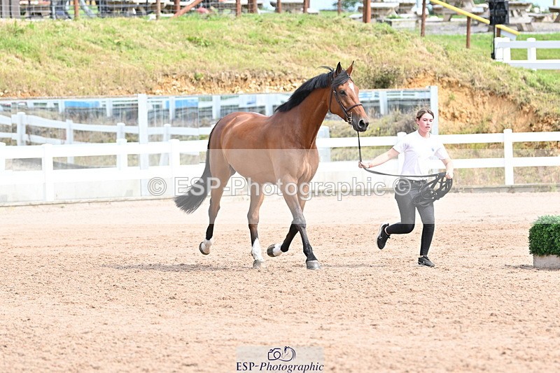 240717A-162308-03428 - Trot Up 4pm to 5pm