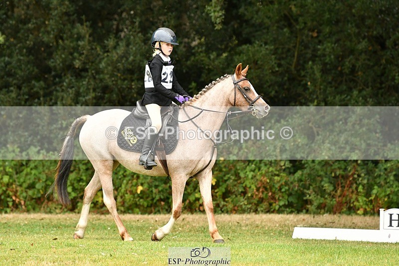 250820A-115405-05351 - 11am to 12