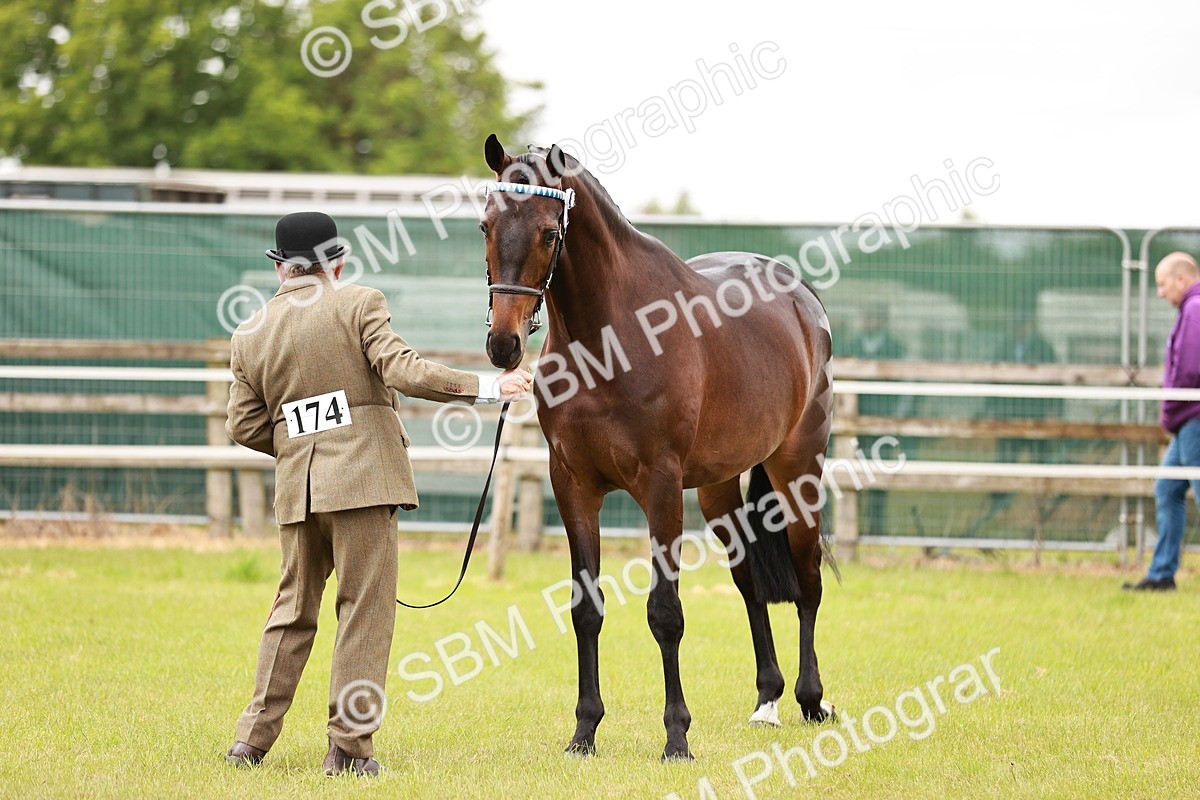 SBM_04776 - Class 35-38 Riding Horse Breeding