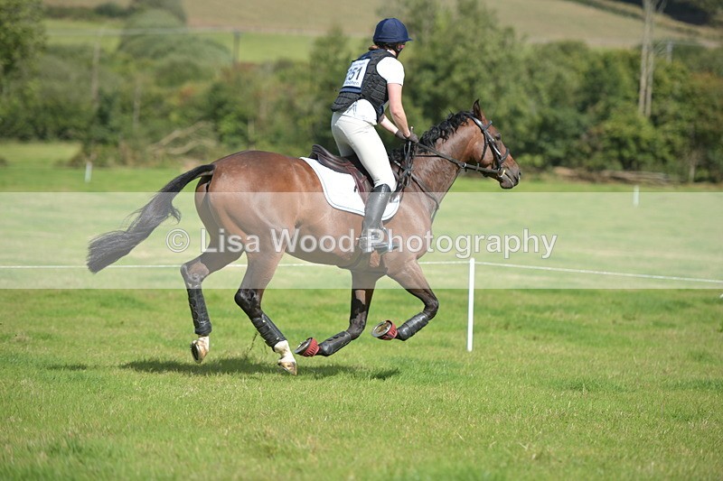 RAY_8589 - Class 2: Trekenning Open: Wall