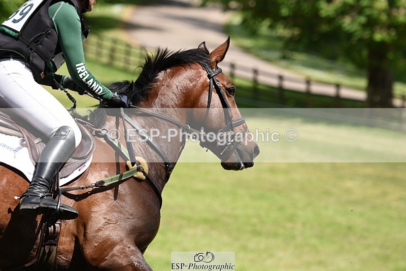 230528-140052-17920 - 469-WELLFIELDS_LINCOLN-Susie_Berry-XC