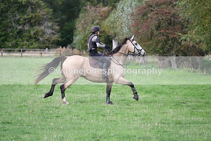 WJ7_0728 - Time 14:27 to 15:11