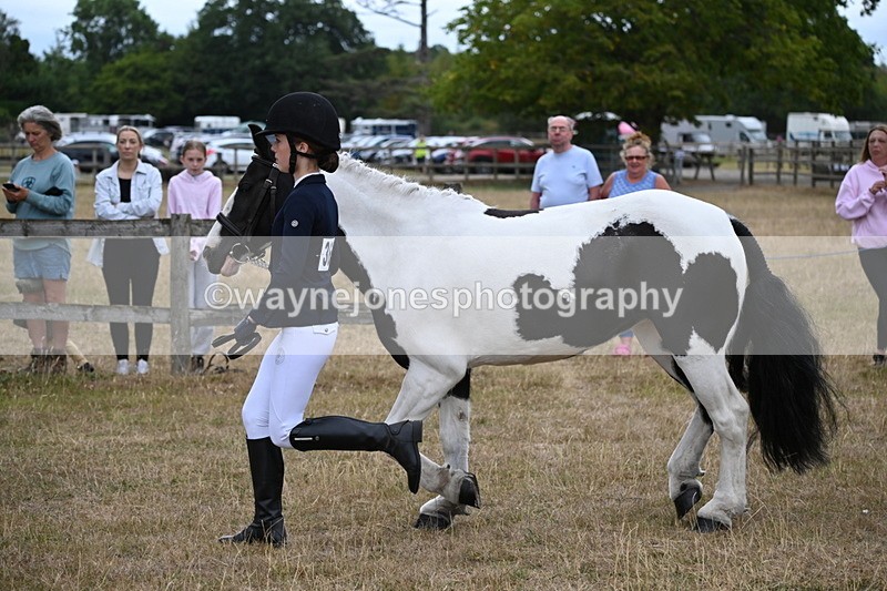 WJ6_8101 - Class 10 Coloured in Hand