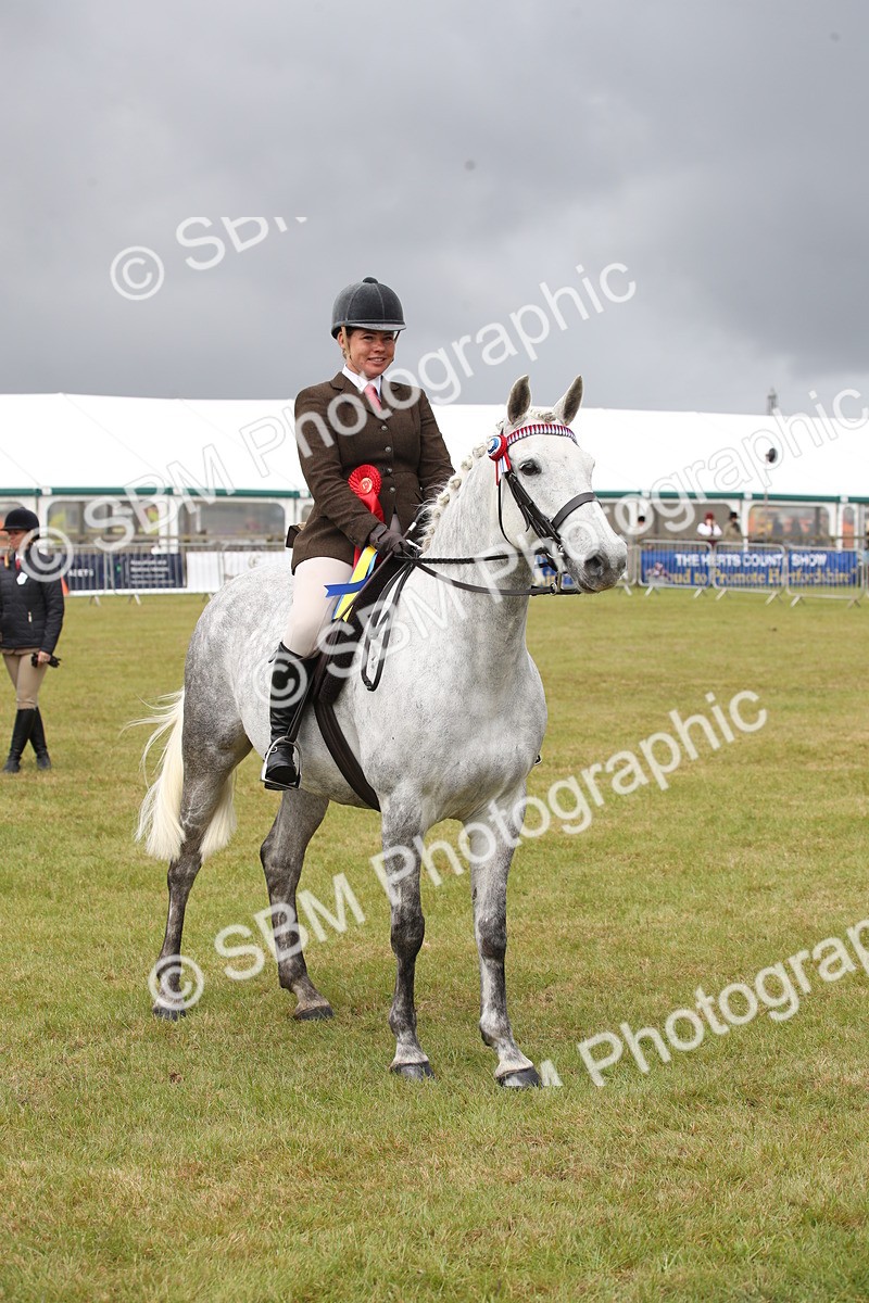 SBM_13164 - Class 95-96 - LIHS BSHA Rising Star Hack Riding Horse