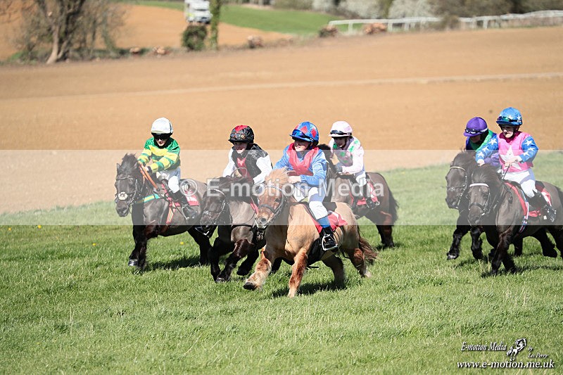 Shet 060426 273 - Shetland Pony Racing Paxford Races Easter Mon 06/04/26