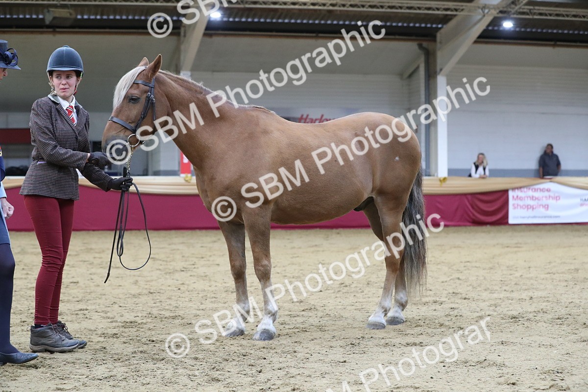SBM_04414 - Class 7R Regional - IH Diamond