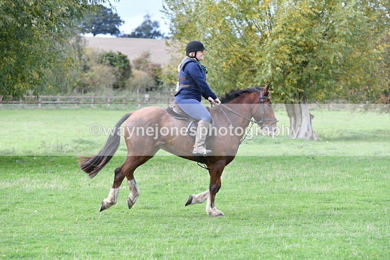 WJ5_0629 - Time 13:59 to 14:28