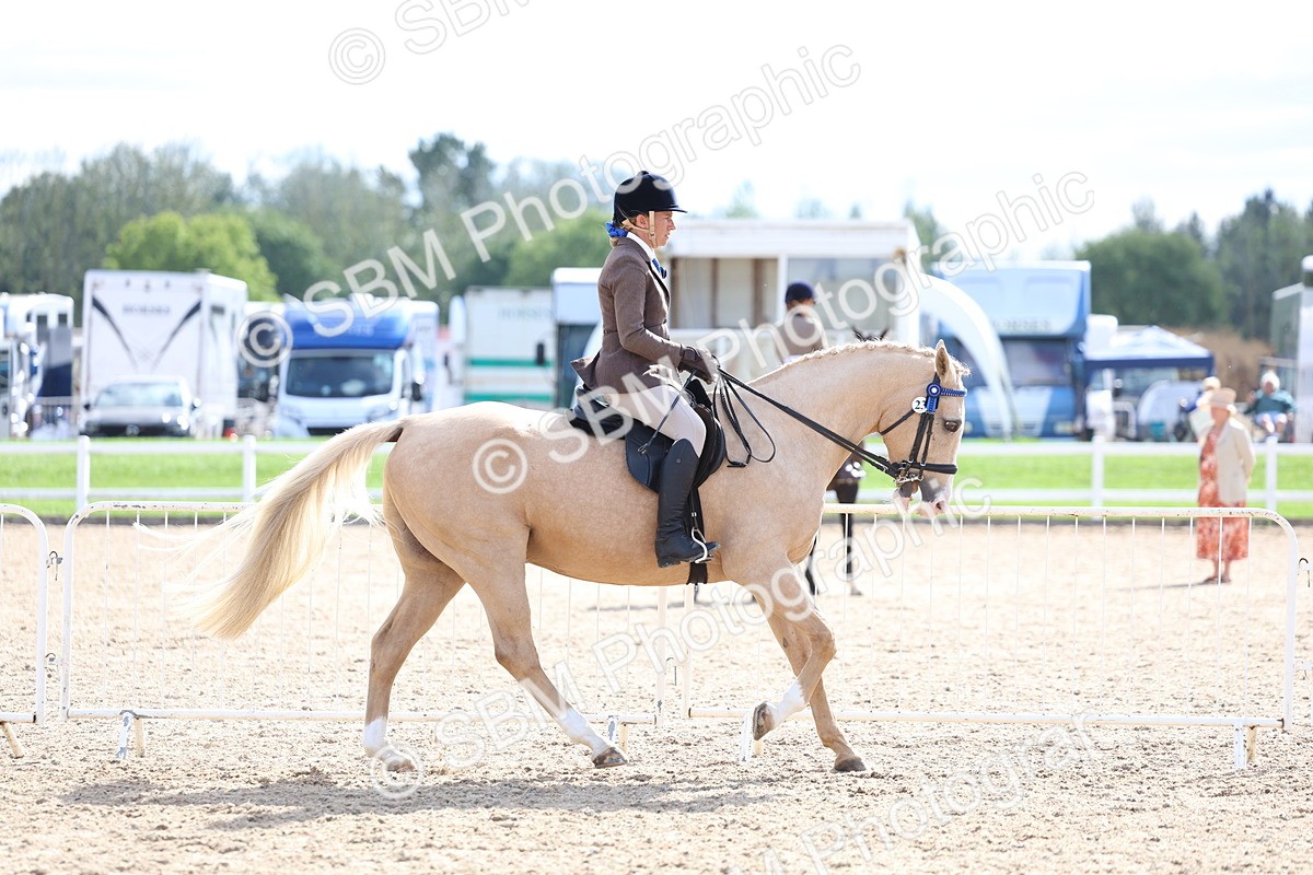 SBM_17118 - Class 315 - Best Horse - Rider Combination