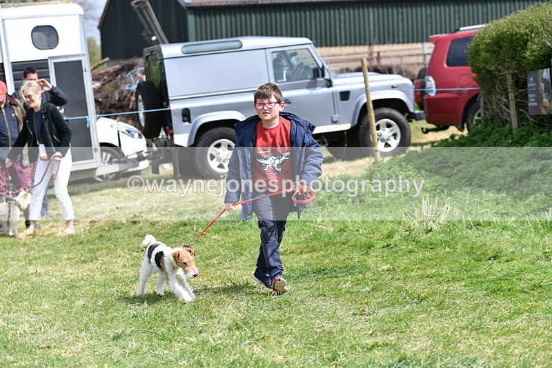 WJ5_0365 - Class 7 Best Terrier