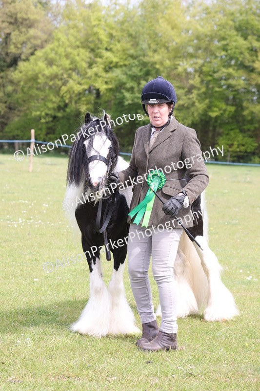 20260426-3379 - Class 27 - Coloured Horses and Ponies