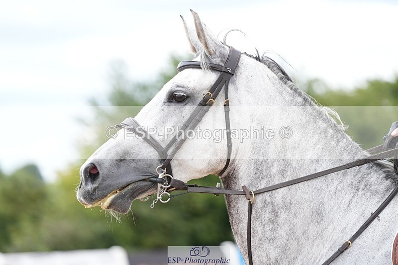 250731-150242-02053 - Cls 11 A&B 1.10cm Nat Am & 1.10 Open