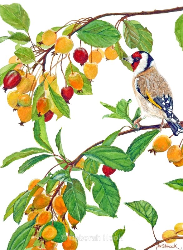 Dressed for dinner - Birds