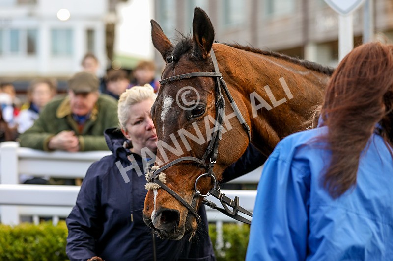 240124-Race 1-Mister Bells-5669 - Race 1