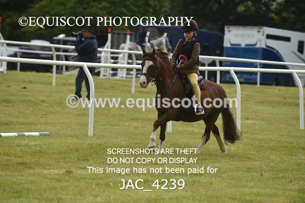 JAC_4239 - WORKING HUNTER CHAMPIONSHIP