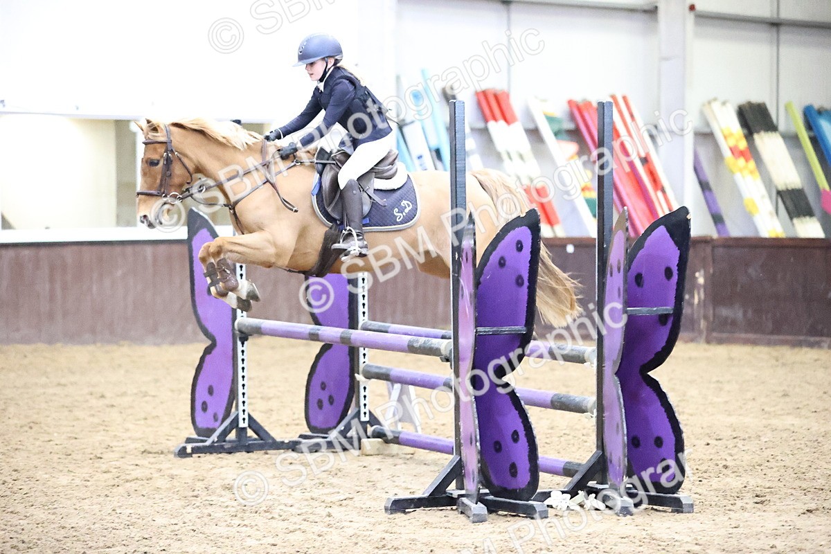 SBM_000337 - Class 2 - Pony British Novice - 80cm