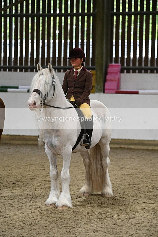 WJ7_3970 - Class 17 Ridden Cob