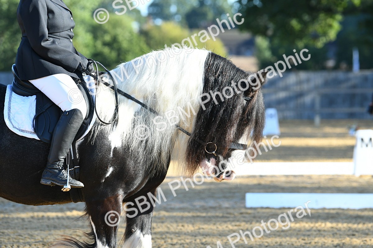 SBM_14483 - D4 - Small Tour Championship - Intro B