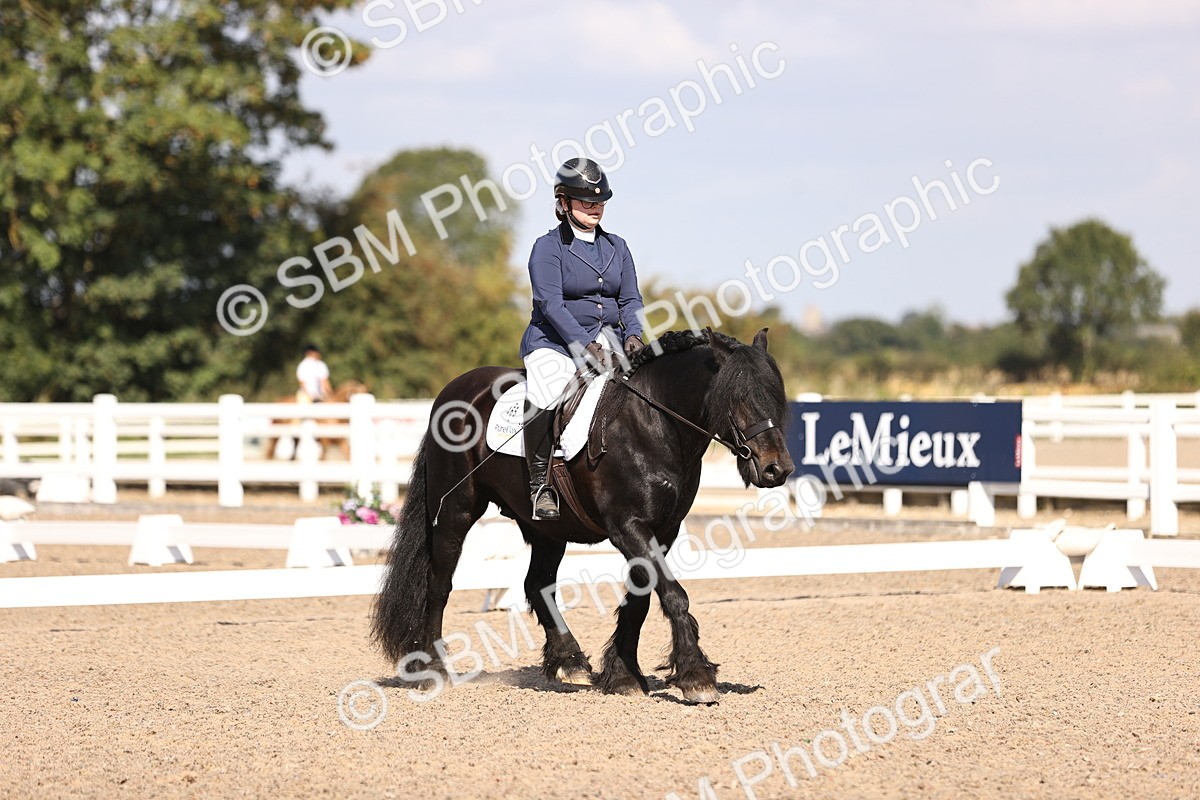 SBM_03527 - CLass 35 Intro 3