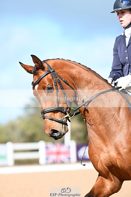 240323A-114613-02693 - DR Novice 34