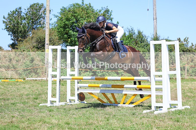 3E7A5688 - Class 9: Senior British Novice/90cm open