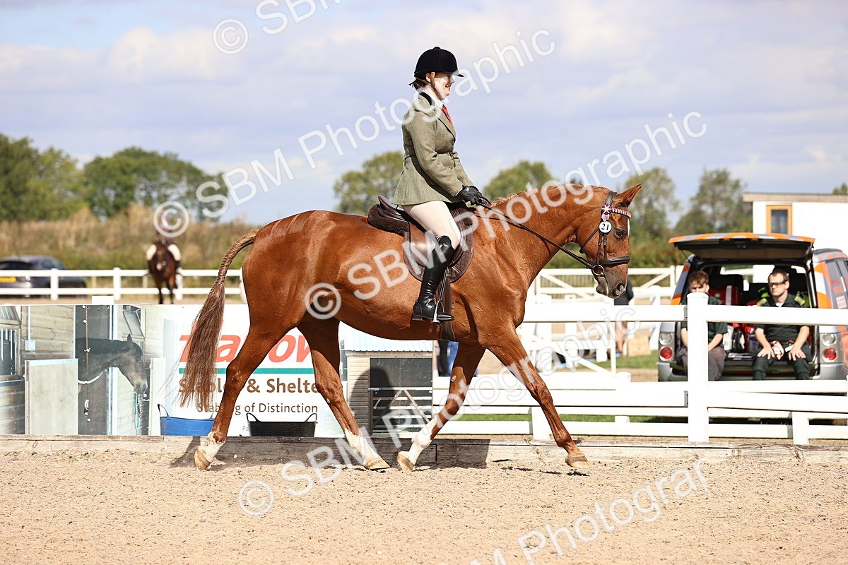 SBM_14274 - Class 411 - Prettiest Mare (IH OR Ridden) Adult