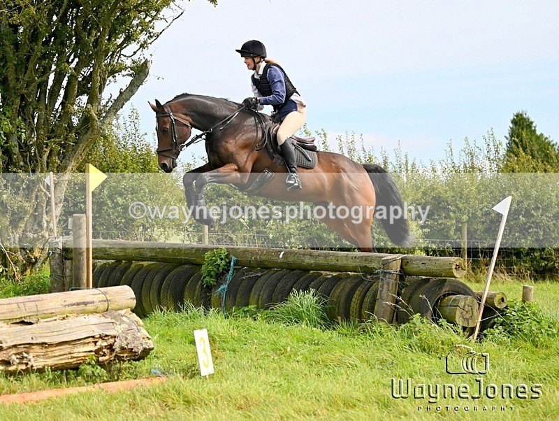 WJ6_8698 - Edited Examples