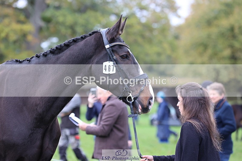 251026A-104756-23282 - F-467-Shareen.Akhtar