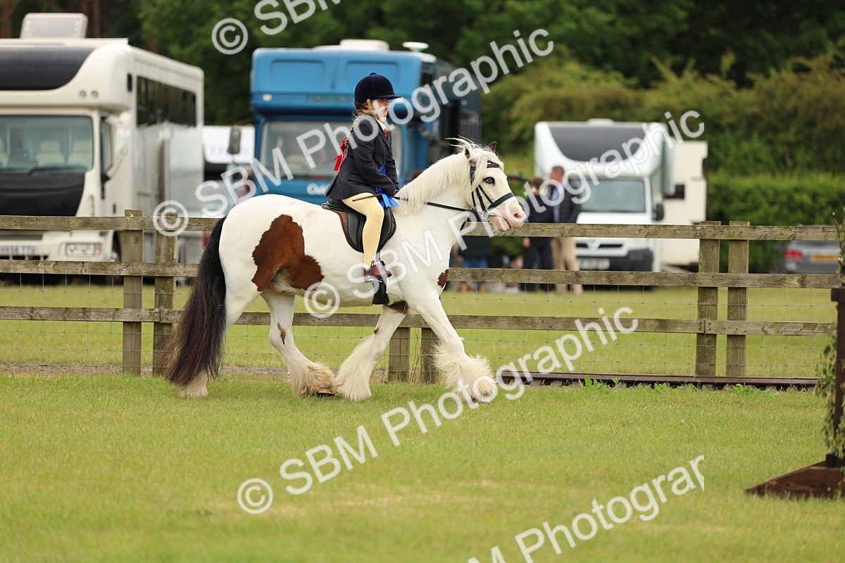 SBM_06366 - Class 39-41 TGCA In Hand and Ridden