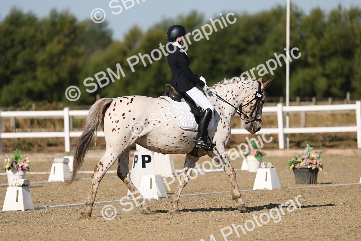 SBM_012668 - Class 1 - P5 Bronze 9.00.10.12