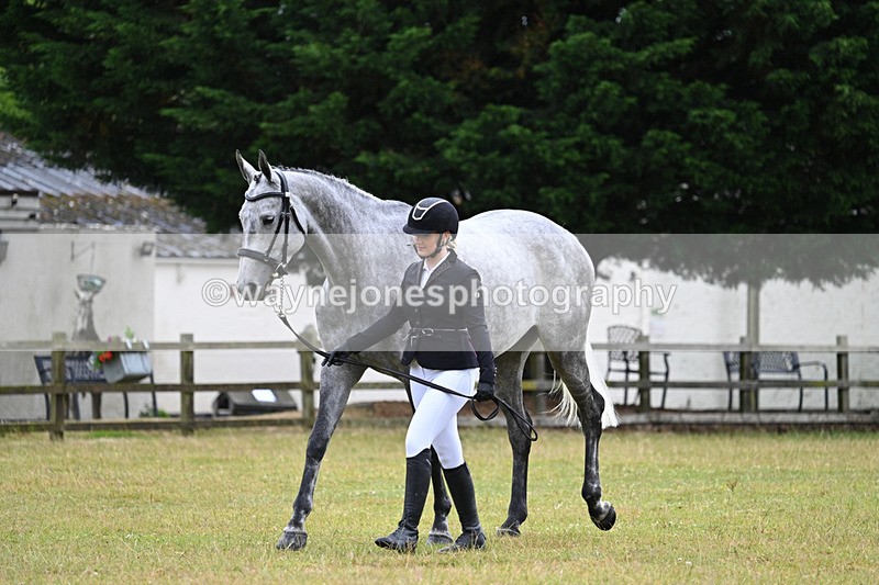 WJ7_6222 - Class 4a Prettiest Mare over 14hh
