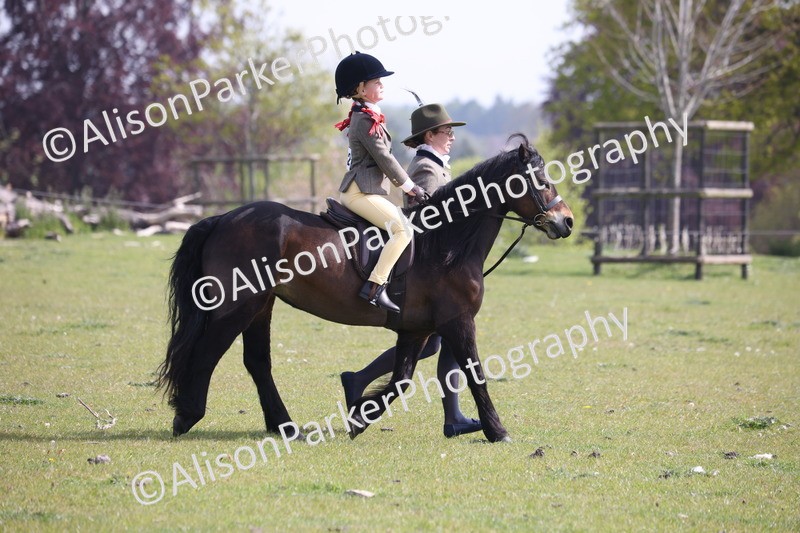 20260426-0586 - Class 31 - Leading Rein