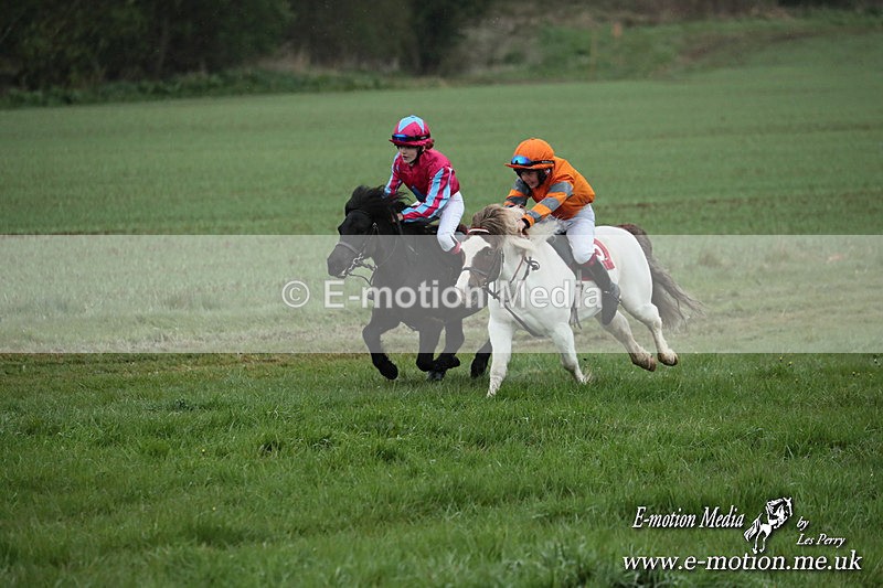 SHETPR 210425 79 - Shetland Ponies Paxford Races 21/04/25