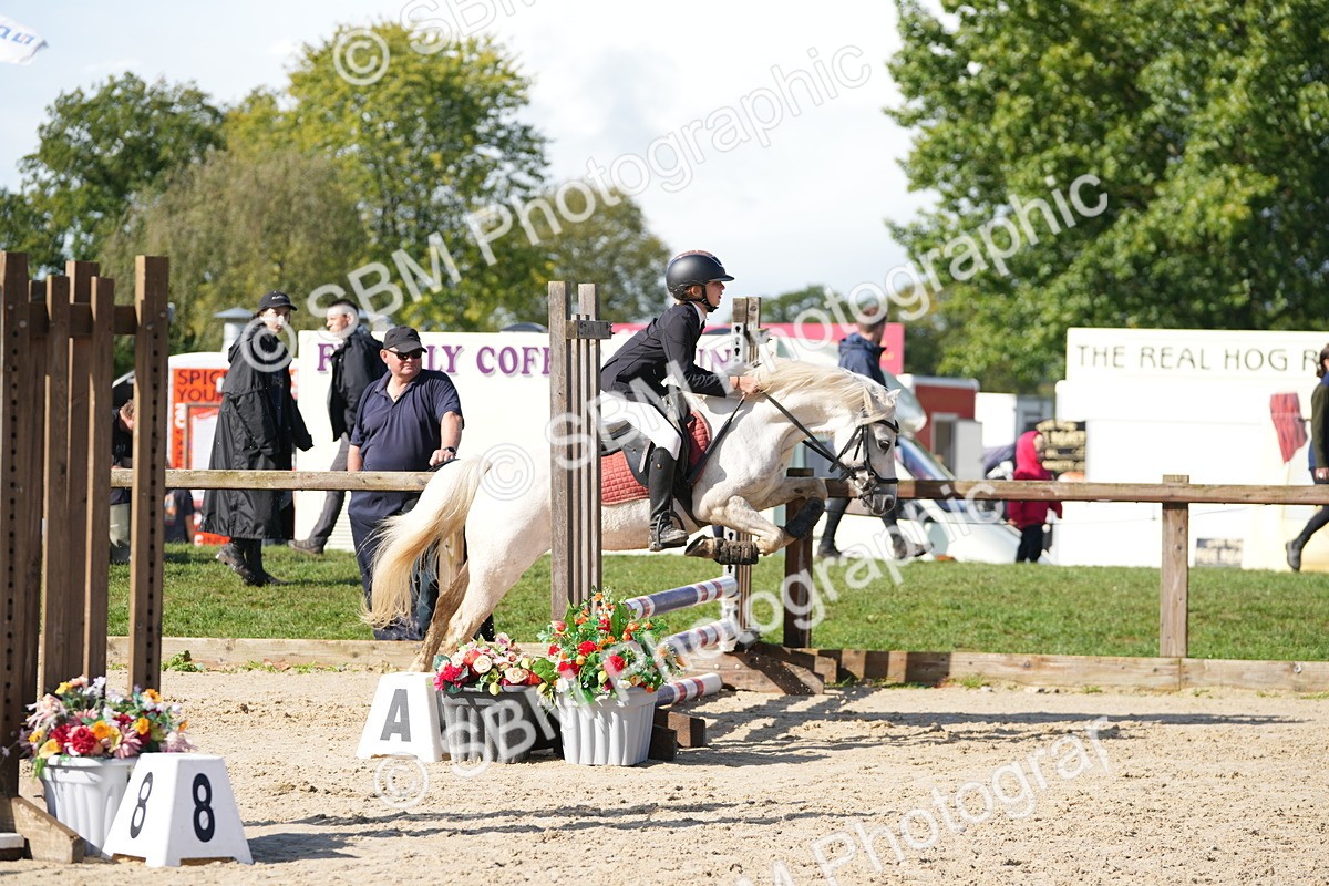 SBM_38358 - J6 - Junior Pony 55cm Championship