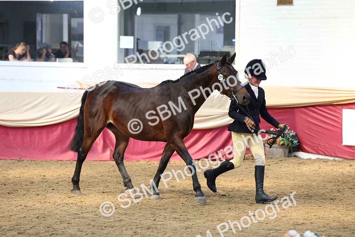 SBM_24157 - Class 905 - Supreme Final - Ridden Veteran