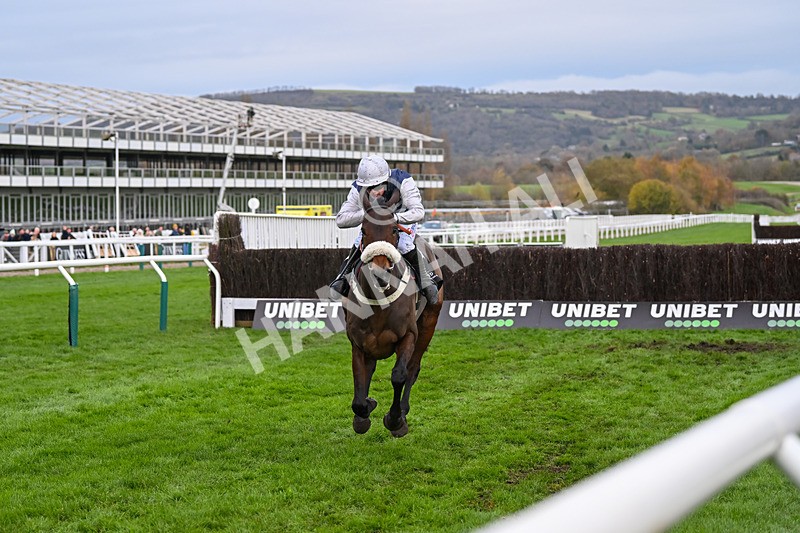 171124-Race 4-Rose Of Arcadia-3646 - Race 4