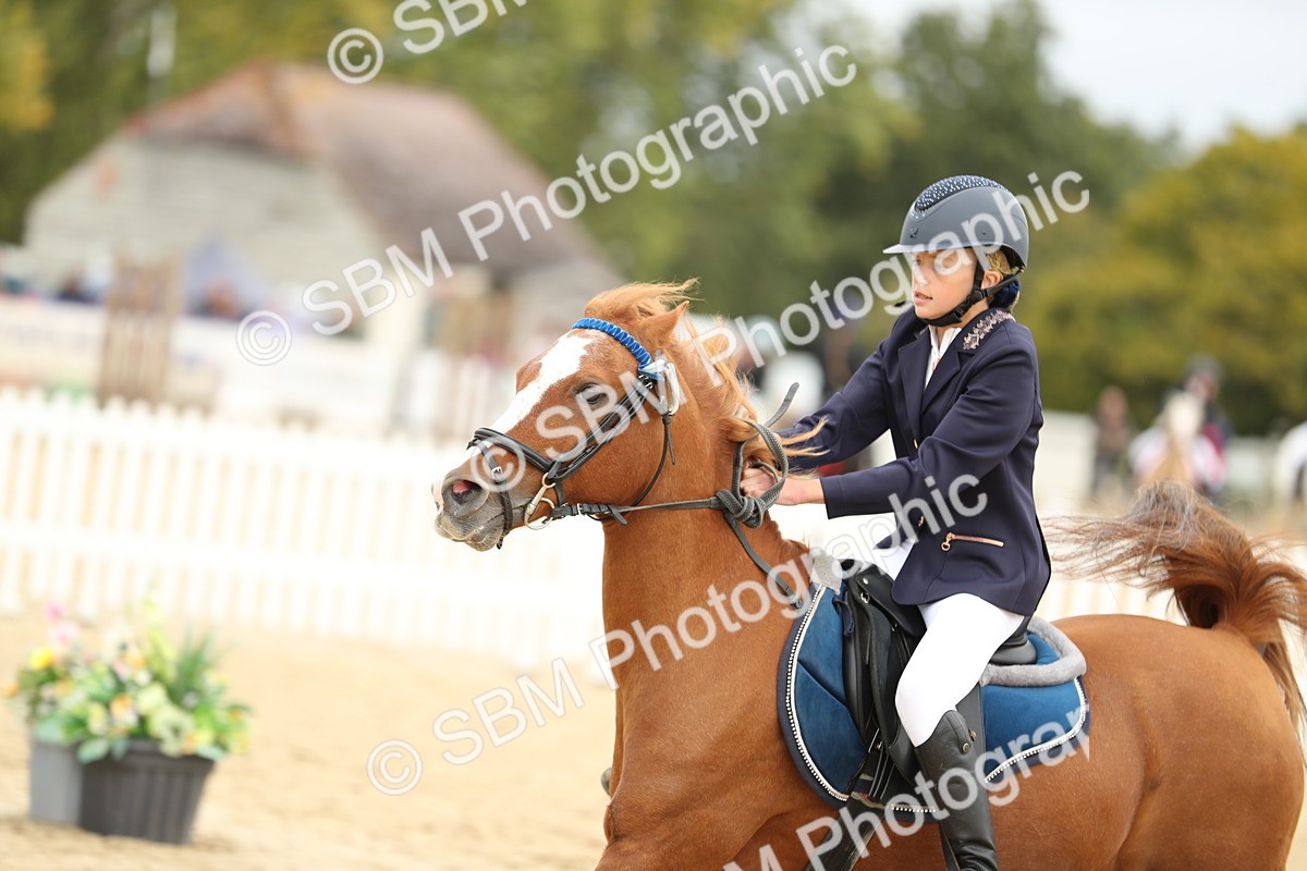 SBM_65689 - J48 - Pairs Jumping Open 70cm & 85cm